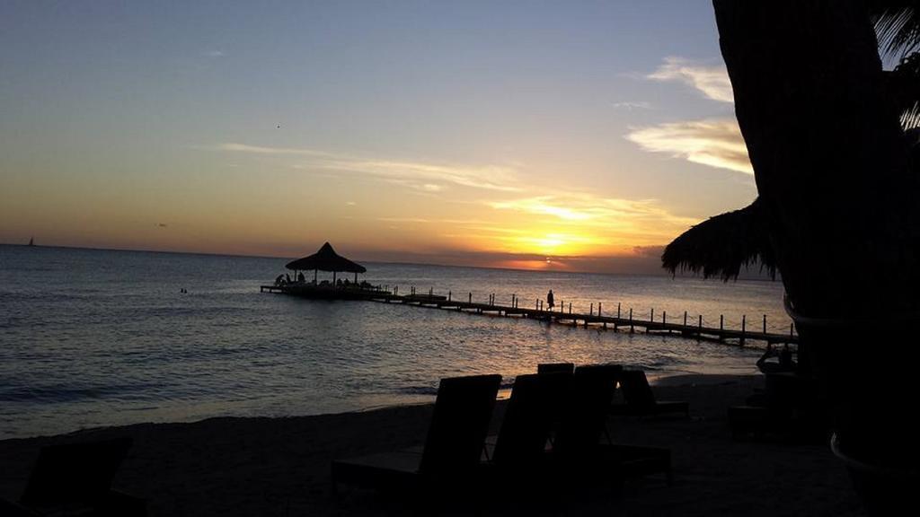 Cadaques Caribe Pez 103 Apartman Bayahibe Szoba fotó