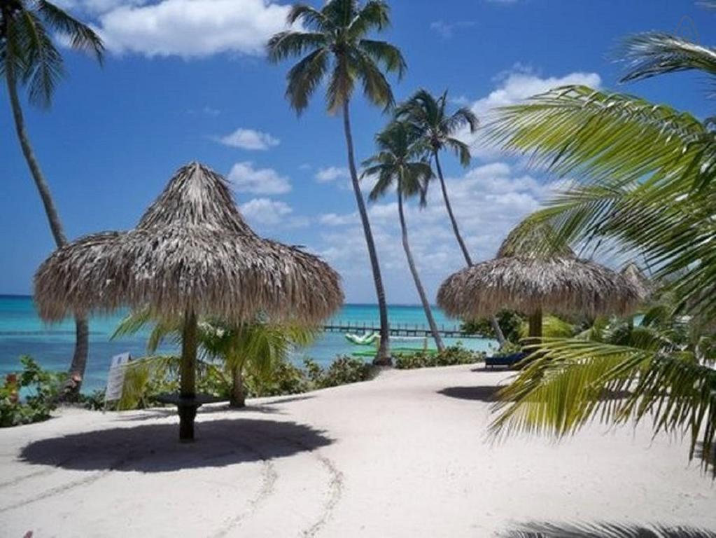 Cadaques Caribe Pez 103 Apartman Bayahibe Szoba fotó