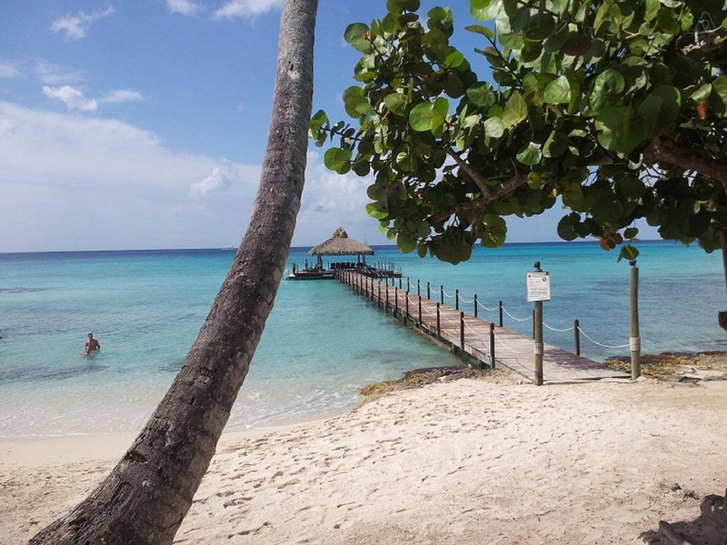 Cadaques Caribe Pez 103 Apartman Bayahibe Szoba fotó