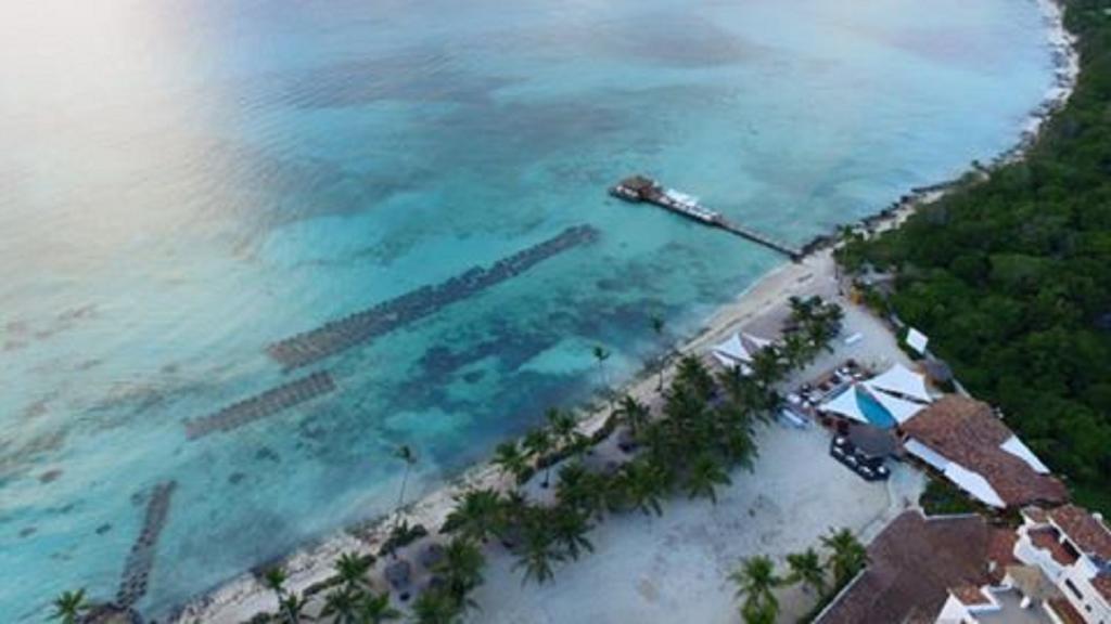 Cadaques Caribe Pez 103 Apartman Bayahibe Kültér fotó