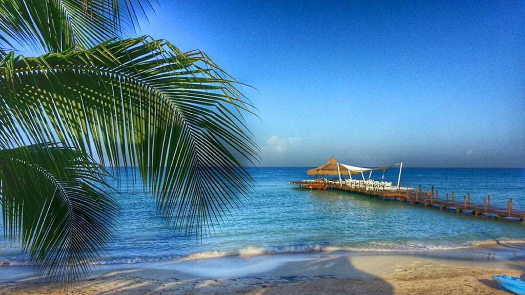 Cadaques Caribe Pez 103 Apartman Bayahibe Kültér fotó