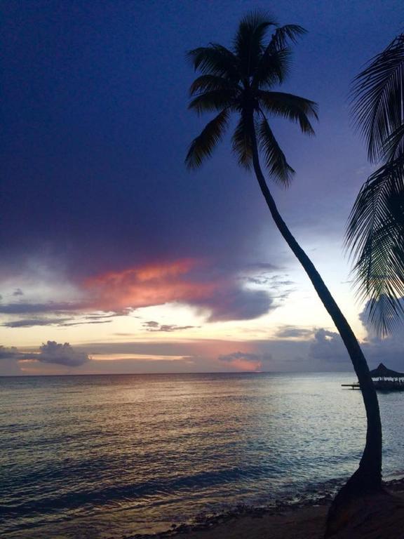 Cadaques Caribe Pez 103 Apartman Bayahibe Kültér fotó