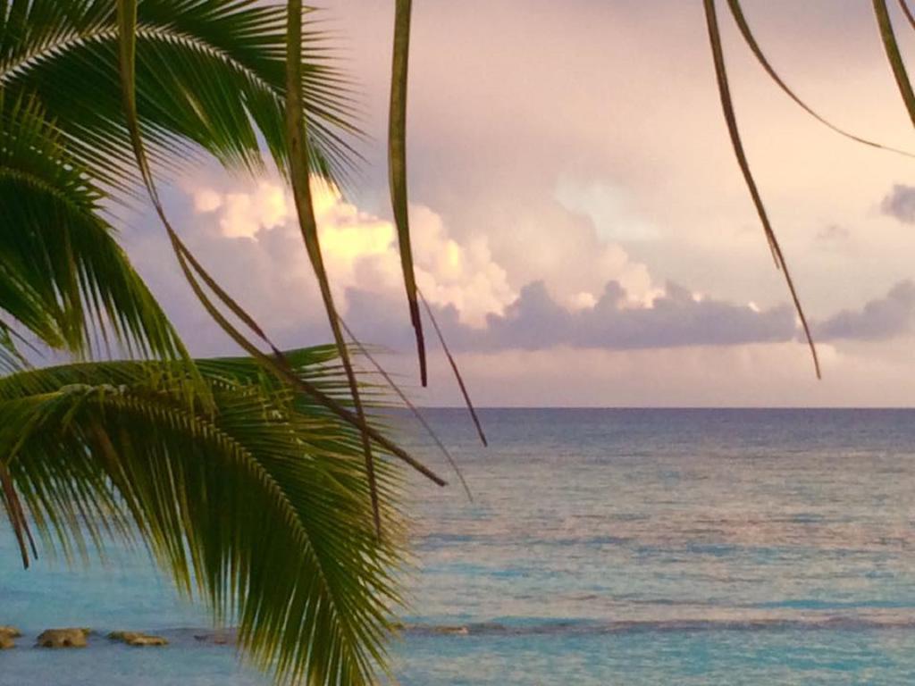 Cadaques Caribe Pez 103 Apartman Bayahibe Kültér fotó
