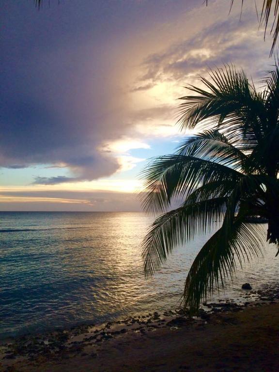 Cadaques Caribe Pez 103 Apartman Bayahibe Kültér fotó